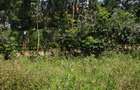 0.5 ac Land in Karen - 3