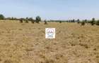 0.25 ac Land at Enkasiti - 14