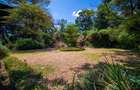 Residential Land in Lavington - 3