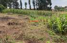 0.05 ha Residential Land in Kikuyu Town - 5