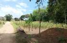 0.05 ha Residential Land at Mtwapa Mtwapa - 10