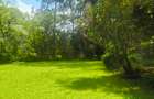 Residential Land at Ndege Road - 4