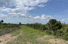0.5 ac Land in Nanyuki - 5