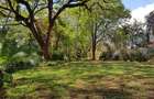 3 Bed House with En Suite at Rosslyn Lone Tree - 20