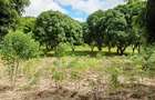 Land at Mtwapa - 15