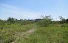 23,796 m² Commercial Land at Nyasa Road - 1