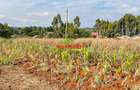 0.05 ha Residential Land in Kamangu - 15