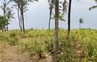 Land in Kilifi - 6
