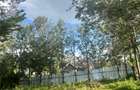 Residential Land at Kandisi - 2