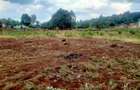 1 ac Land at Ngong Town - 4