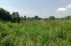 1 ac Land at Ngecha - 5