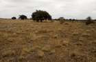 30 ac Land at Off Namanga Rd - 2