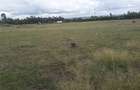 1 ac Residential Land in Ongata Rongai - 11