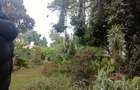 1 ac Land in Lavington - 8