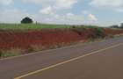 5 ac Land at Near Tatu City - 3