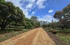 Land at Mombasa Malindi Highway - 1