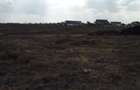 0.25 ac Land at Katani - 10