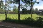 10,000 ft² Land at Kenol Town Front Row - 12
