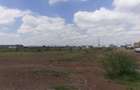 0.125 ac Residential Land at Kalimoni - 6