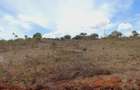 450 m² Land in Vipingo - 5