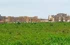 Land in Vipingo - 4