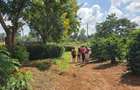 1 ac Residential Land in Kiambu Road - 3