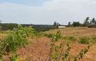 Land in Kilifi - 3