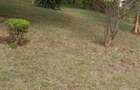 0.25 ac Land in Thika - 5