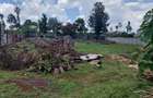 Residential Land at Flem Tree Off Ruaka Road - 10