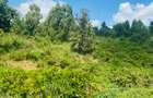 100 ac Land at Kenol-Murang’A Highway - 4