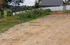 0.05 ha Residential Land in Kikuyu Town - 7