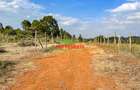 0.125 ac Residential Land at Lusigetti - 1