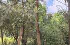 4.5 ac Land at Langata South Road - 2