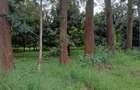 0.125 ac Residential Land at Thika Grove Chania-Opposite Blue Post Hotel - 13