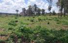 Residential Land at Flem Tree Off Ruaka Road - 9