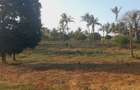 Land at Mavueni Kaloleni Road - 5