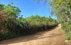 Residential Land at Diani - 7