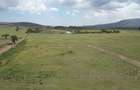 Residential Land in Naivasha - 6