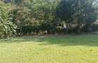 4 Bed House with En Suite at Kitisuru - 15