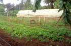 0.5 ac Land in Kitisuru - 4