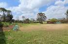 Residential Land at Stage 2 Macharia Road. - 13