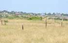Residential Land at Juja Farm Joyfarm Plots Mwireri - 2