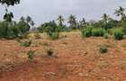 Land in Kilifi - 14