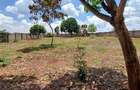 Residential Land at Flem Tree Off Ruaka Road - 17