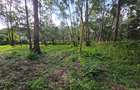 0.5 ac Land in Lake View - 4