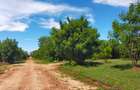 Land in Vipingo - 5