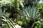 0.75 ac Land at Chalbi Drive - 2