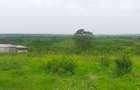 Land in Kilifi County - 19