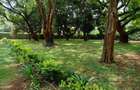 4 Bed House with En Suite in Runda - 14
