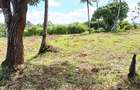 Land at Vipingo - 10
